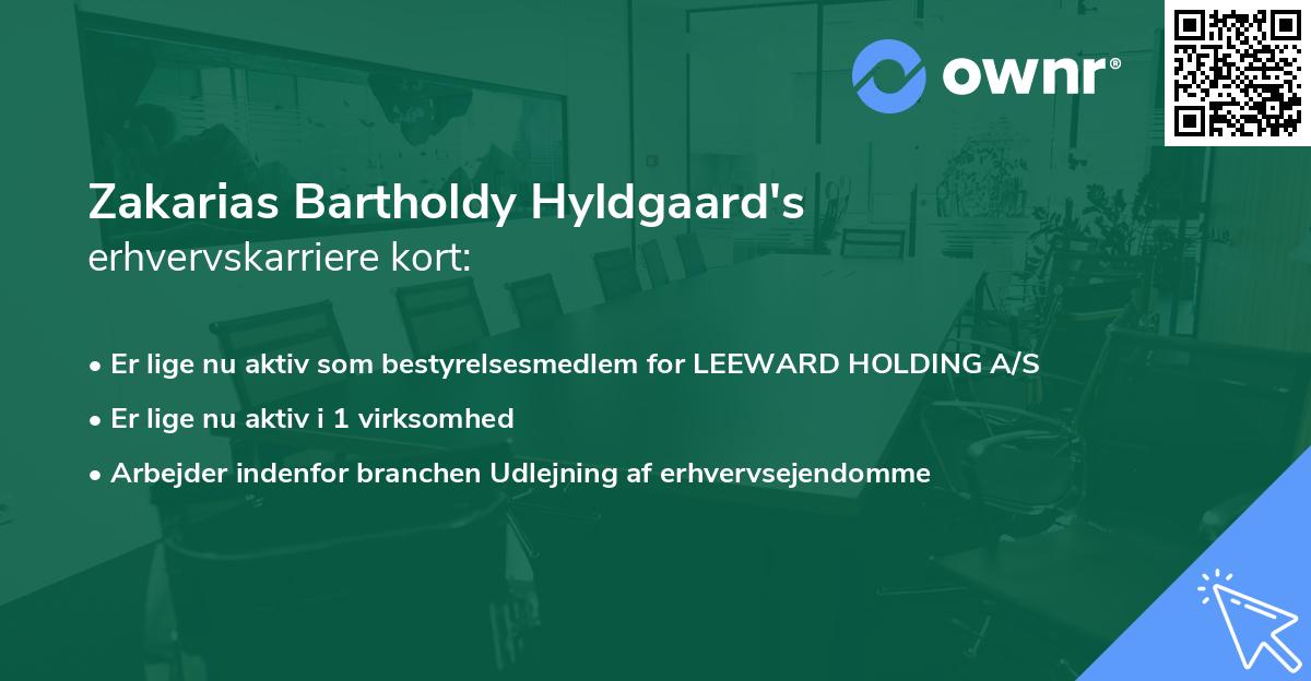 Zakarias Bartholdy Hyldgaard's erhvervskarriere kort