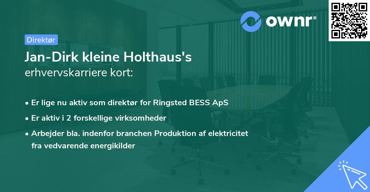 Jan-Dirk kleine Holthaus's erhvervskarriere kort