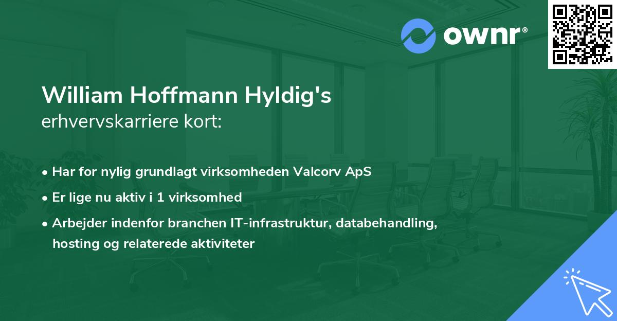 William Hoffmann Hyldig's erhvervskarriere kort
