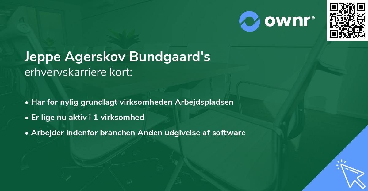 Jeppe Agerskov Bundgaard's erhvervskarriere kort