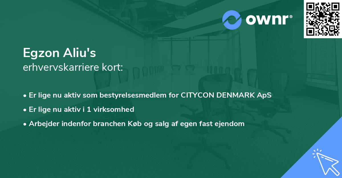 Egzon Aliu's erhvervskarriere kort