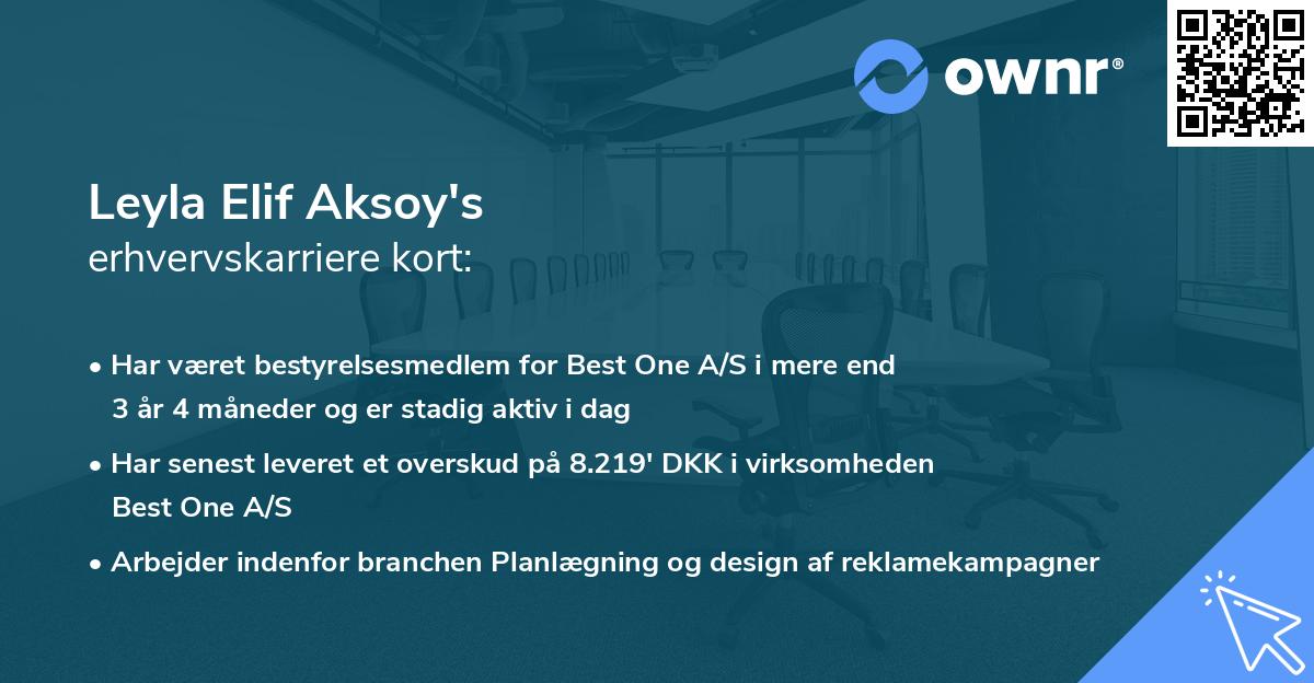 Leyla Elif Aksoy's erhvervskarriere kort