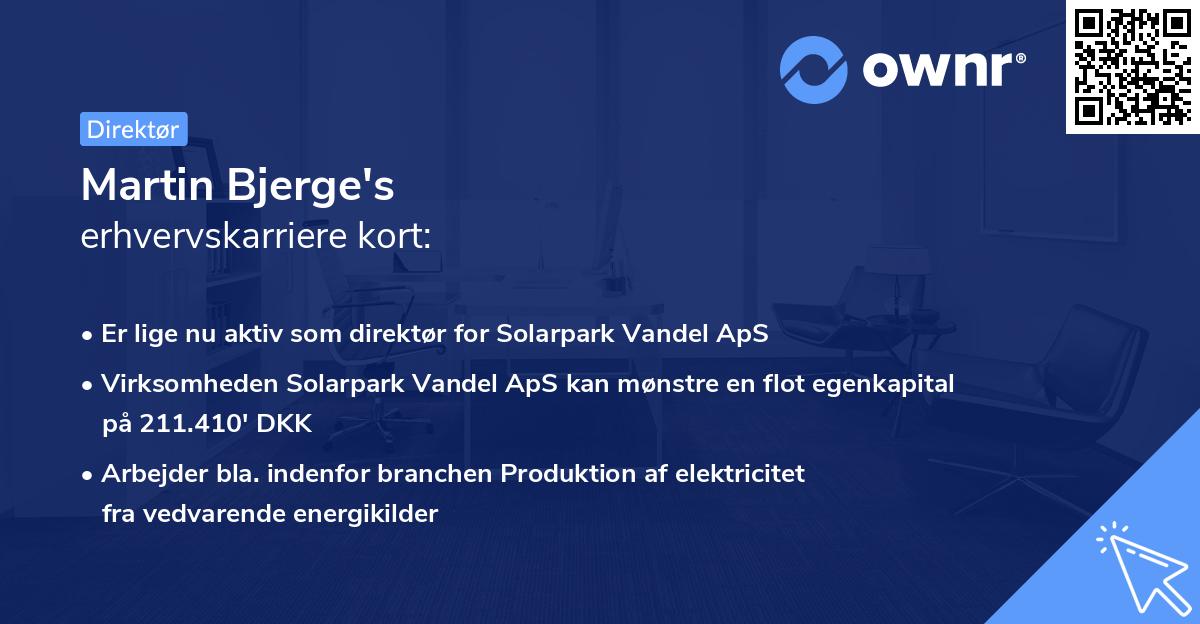 Martin Bjerge's erhvervskarriere kort