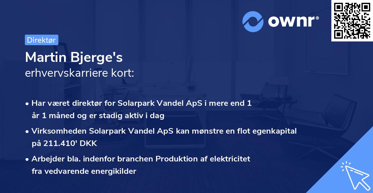 Martin Bjerge's erhvervskarriere kort