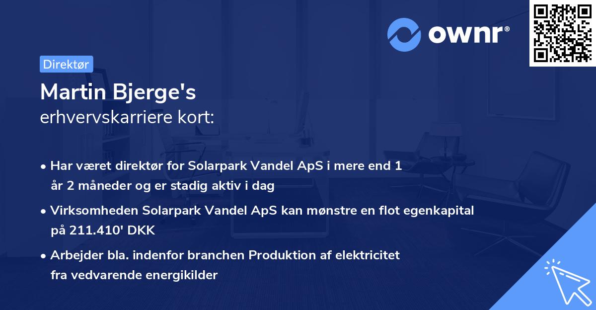 Martin Bjerge's erhvervskarriere kort