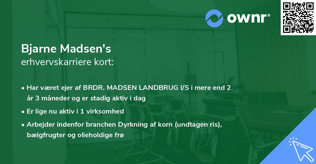 Bjarne Madsen's erhvervskarriere kort