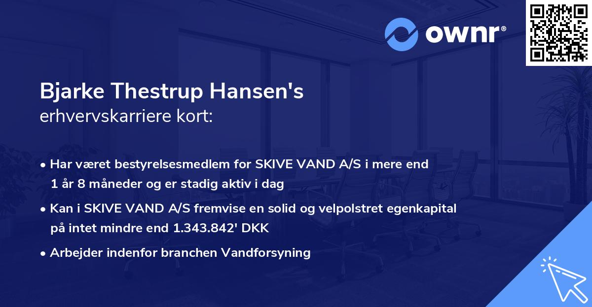 Bjarke Thestrup Hansen's erhvervskarriere kort