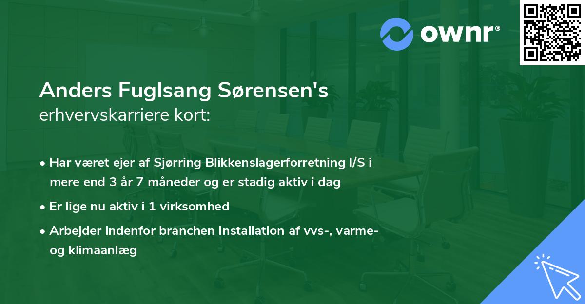 Anders Fuglsang Sørensen's erhvervskarriere kort