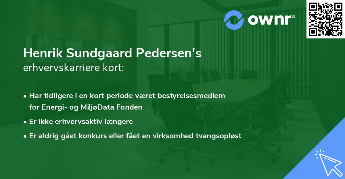 Henrik Sundgaard Pedersen's erhvervskarriere kort