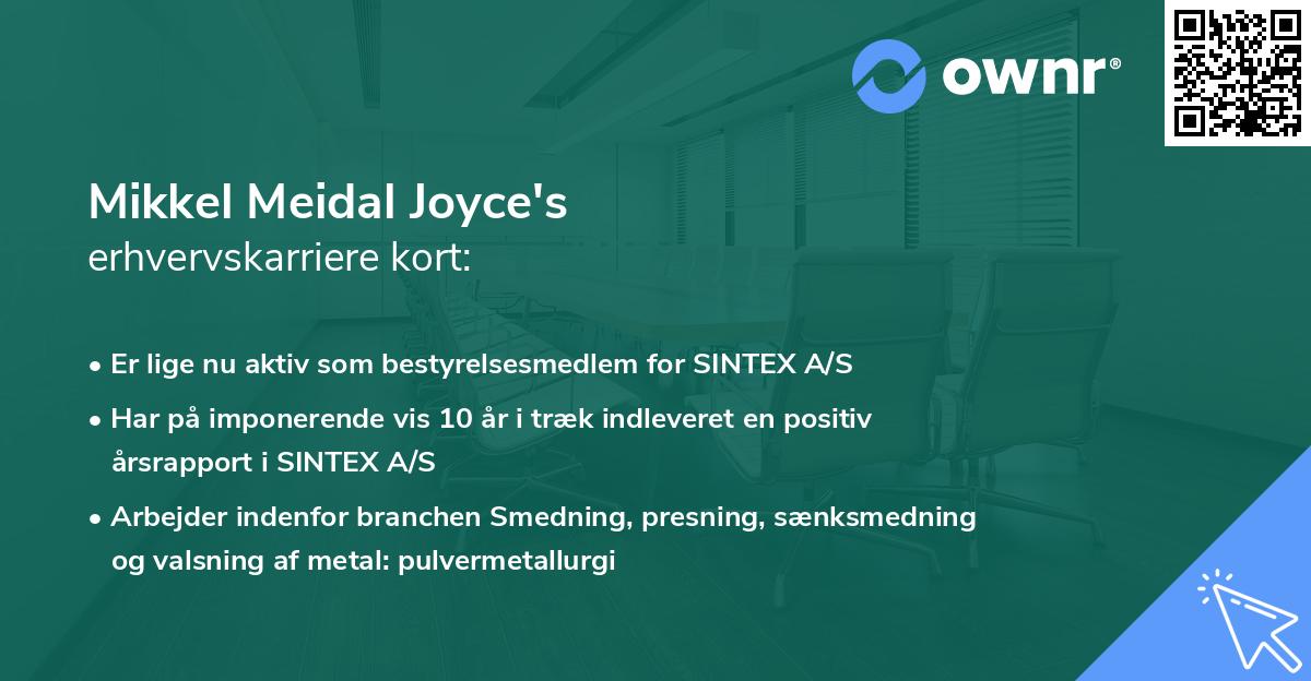 Mikkel Meidal Joyce's erhvervskarriere kort