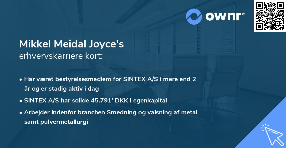 Mikkel Meidal Joyce's erhvervskarriere kort