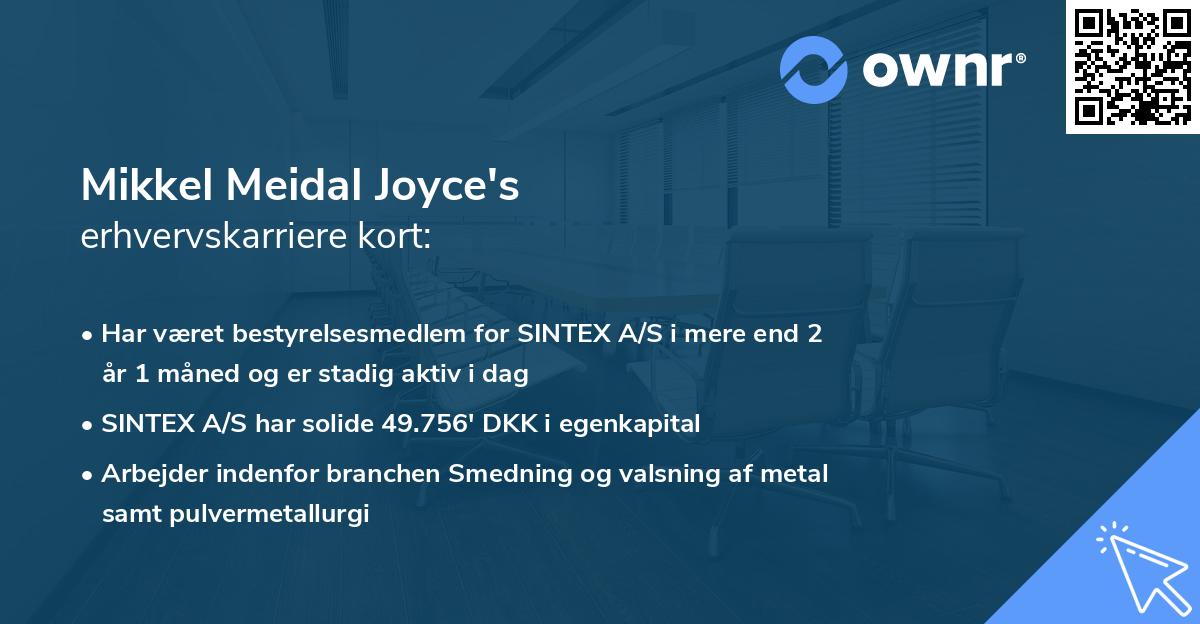 Mikkel Meidal Joyce's erhvervskarriere kort
