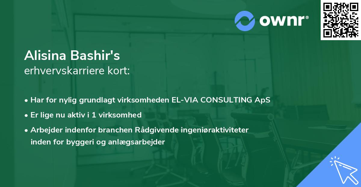 Alisina Bashir's erhvervskarriere kort