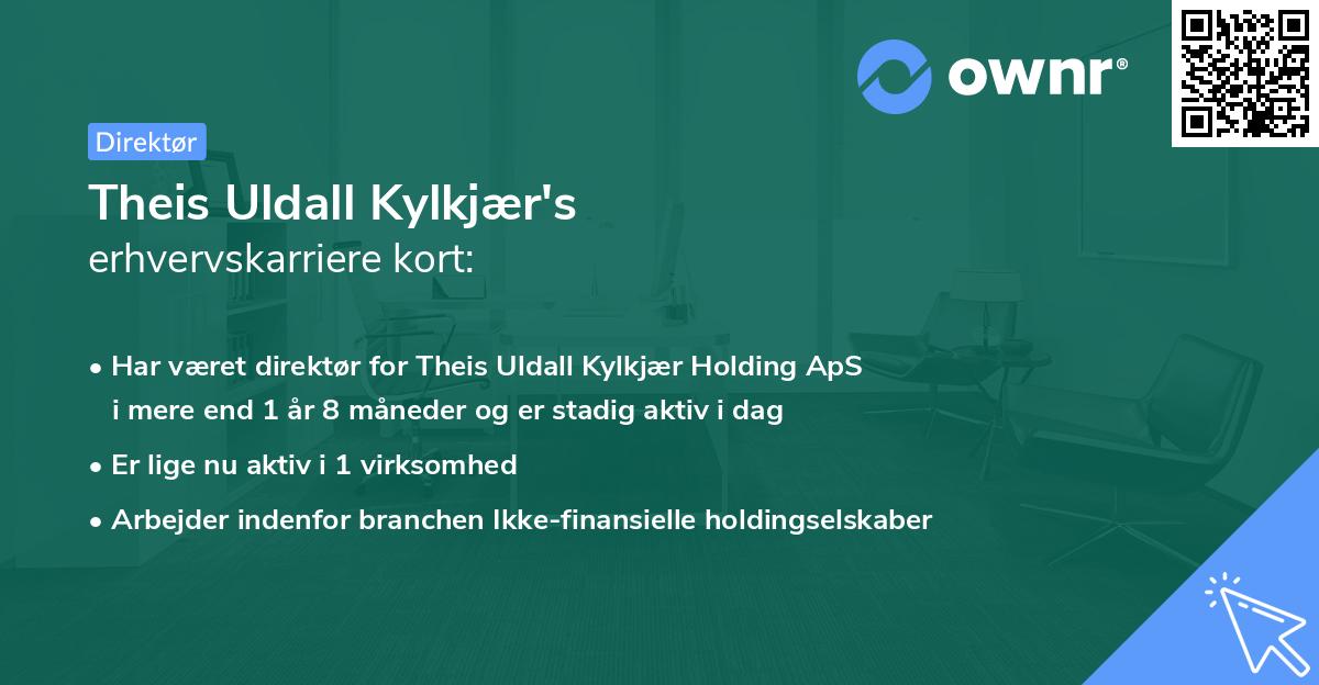 Theis Uldall Kylkjær's erhvervskarriere kort