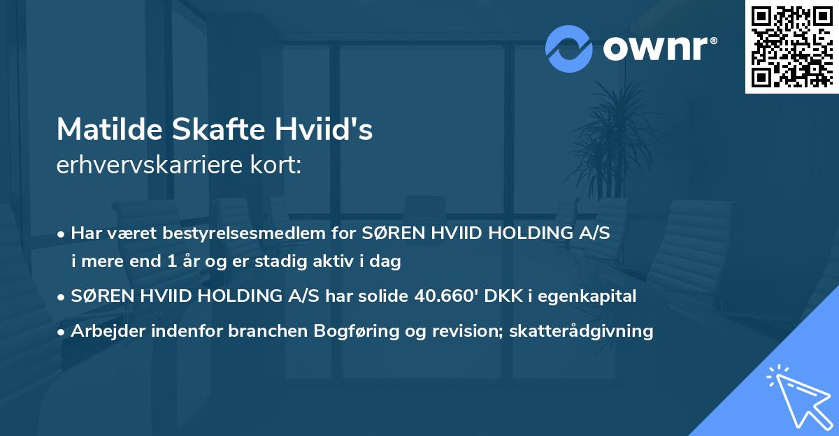 Matilde Skafte Hviid's erhvervskarriere kort