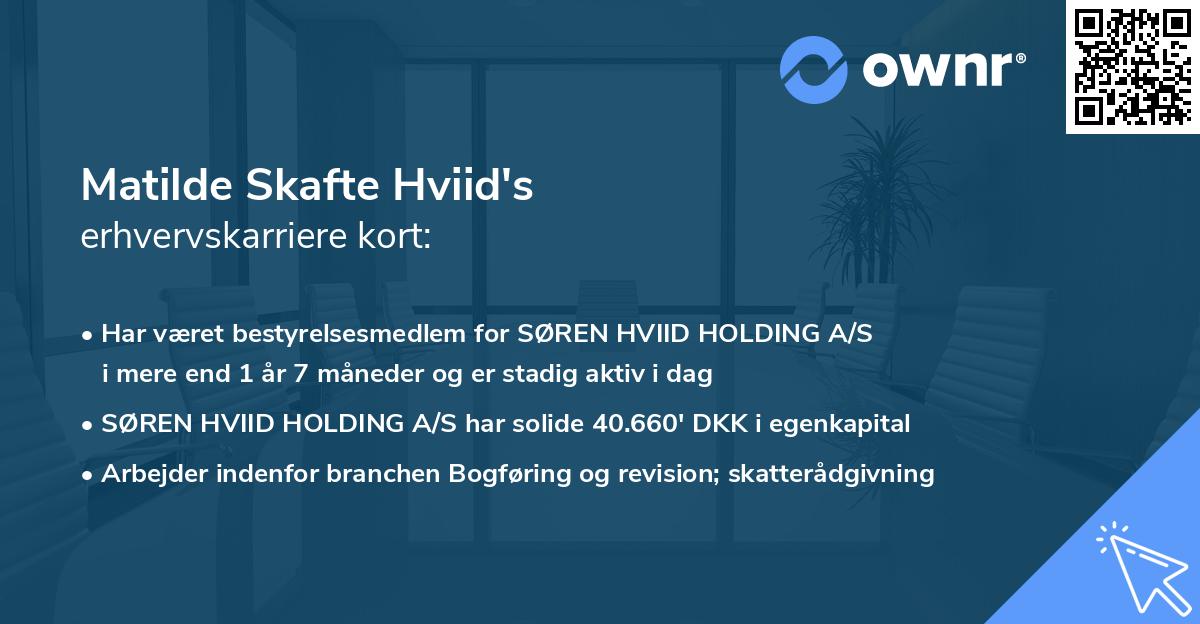Matilde Skafte Hviid's erhvervskarriere kort