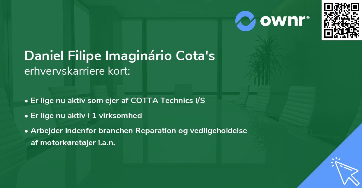 Daniel Filipe Imaginário Cota's erhvervskarriere kort