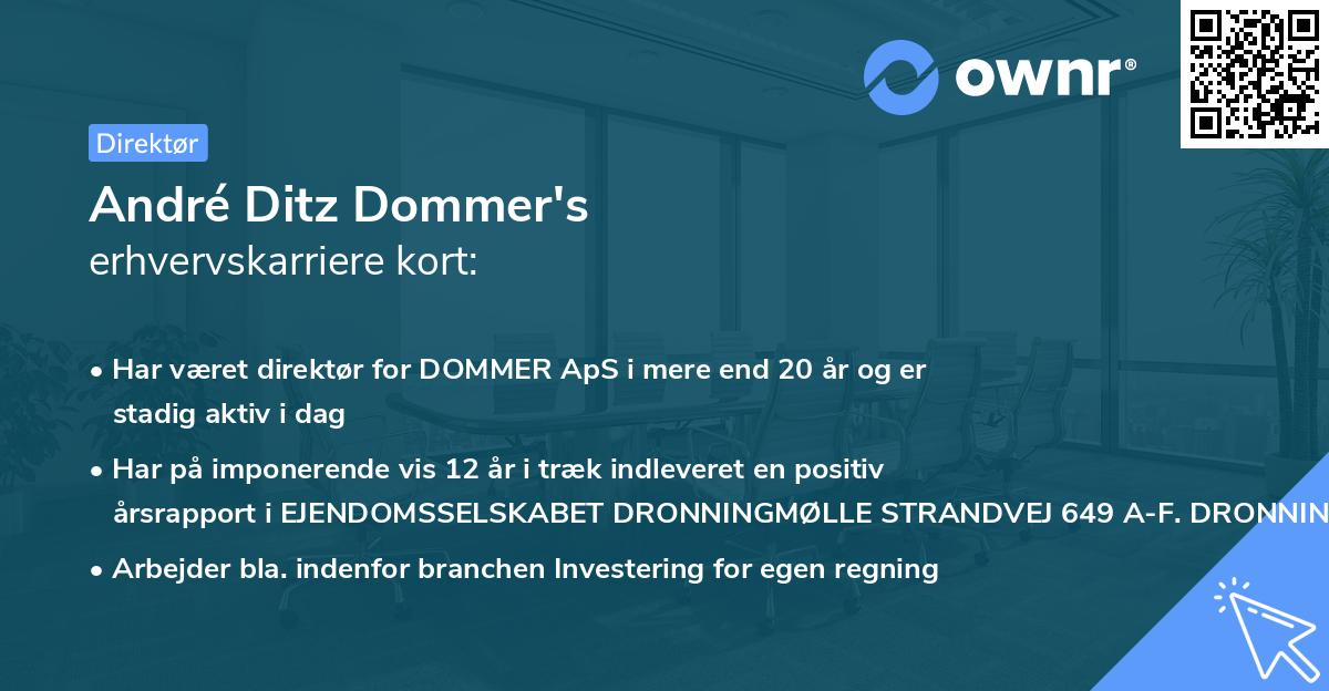 André Ditz Dommer's erhvervskarriere kort
