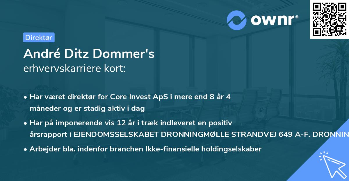 André Ditz Dommer's erhvervskarriere kort