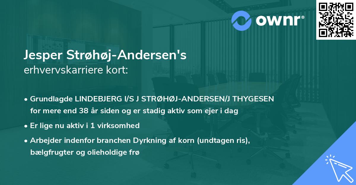 Jesper Strøhøj-Andersen's erhvervskarriere kort