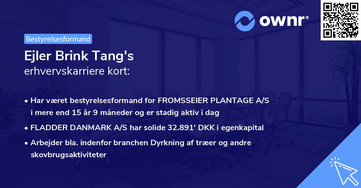 Ejler Brink Tang's erhvervskarriere kort