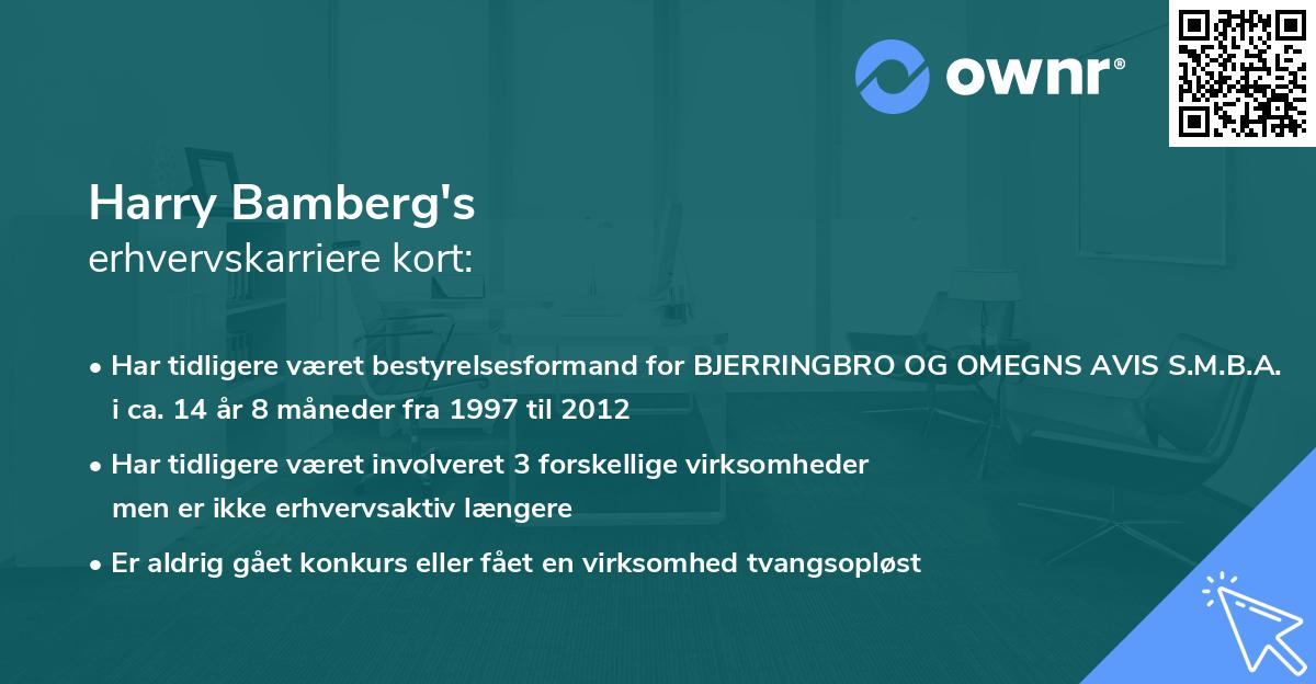 Harry Bamberg's erhvervskarriere kort