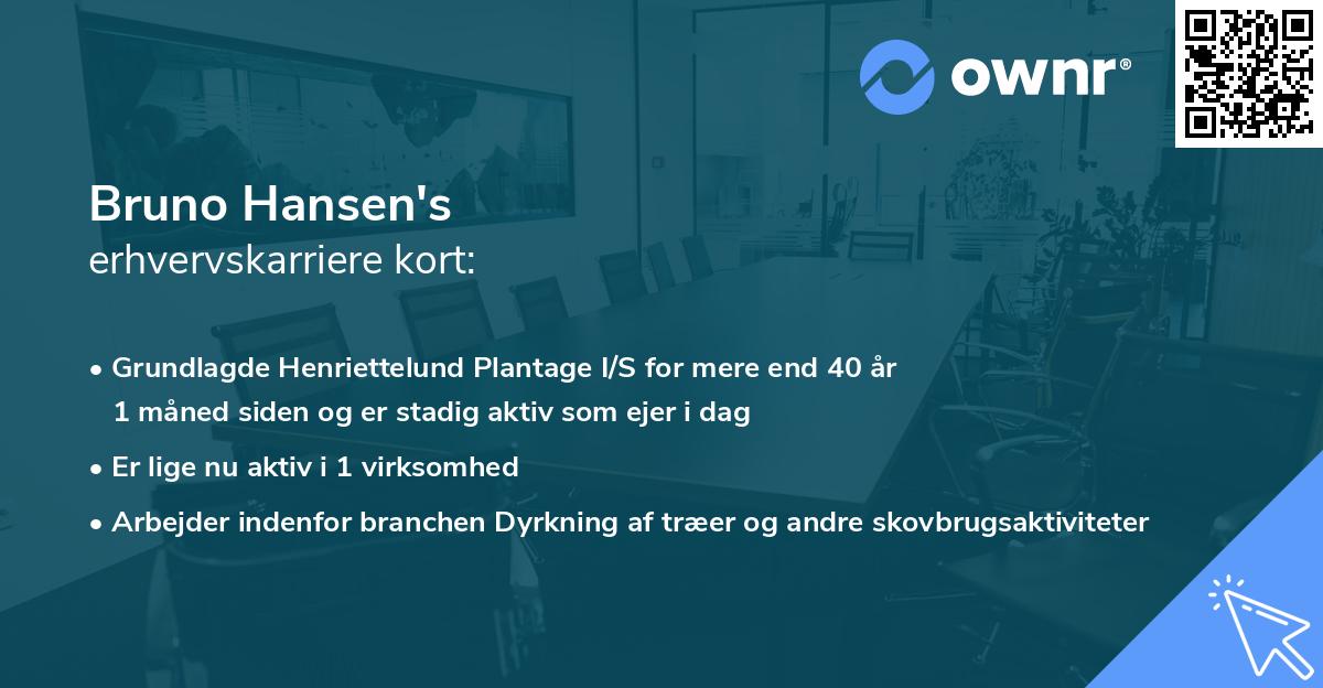 Bruno Hansen's erhvervskarriere kort