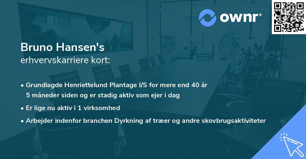 Bruno Hansen's erhvervskarriere kort