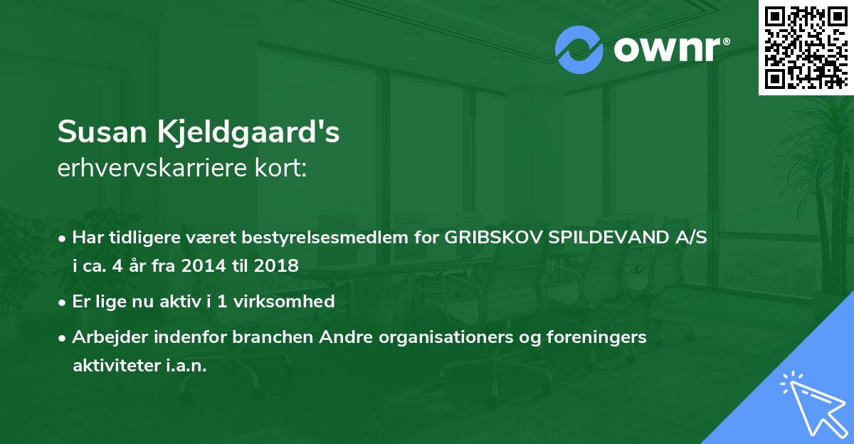 Susan Kjeldgaard's erhvervskarriere kort