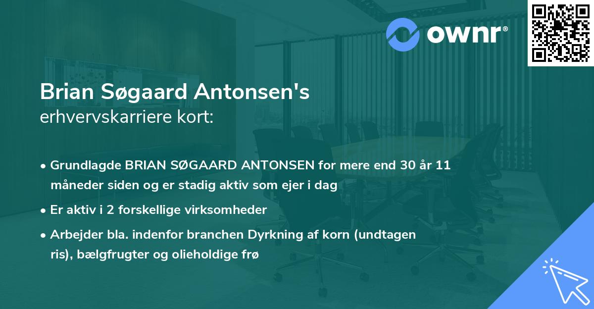 Brian Søgaard Antonsen's erhvervskarriere kort