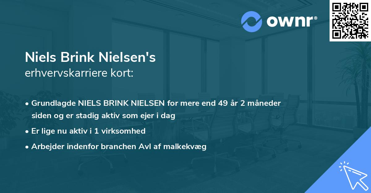 Niels Brink Nielsen's erhvervskarriere kort
