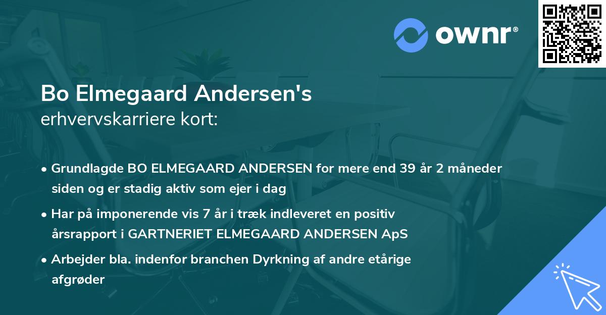 Bo Elmegaard Andersen's erhvervskarriere kort