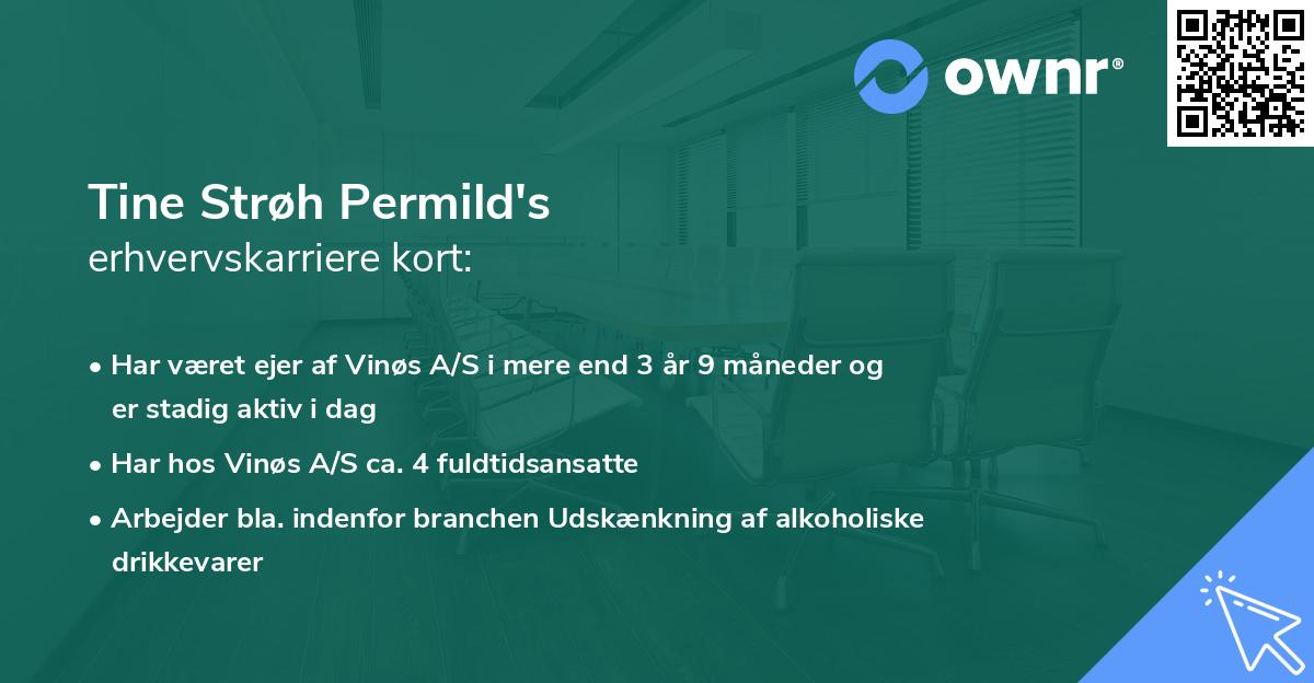 Tine Strøh Permild's erhvervskarriere kort