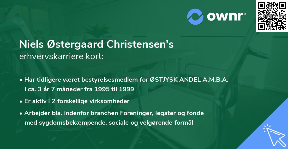 Niels Østergaard Christensen's erhvervskarriere kort