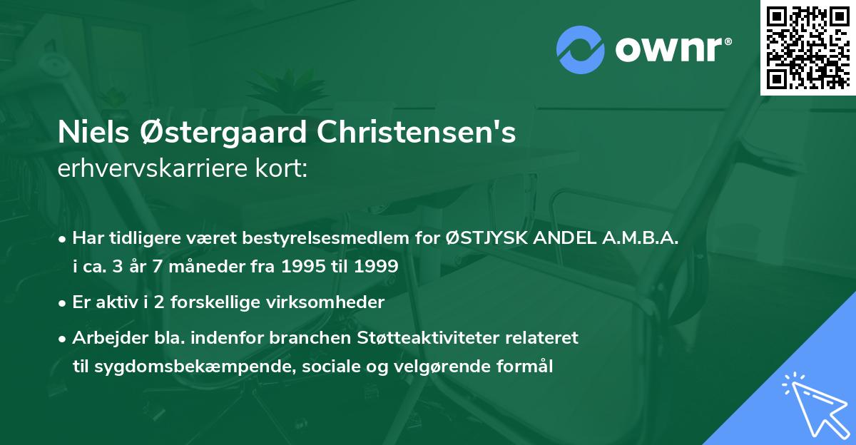 Niels Østergaard Christensen's erhvervskarriere kort