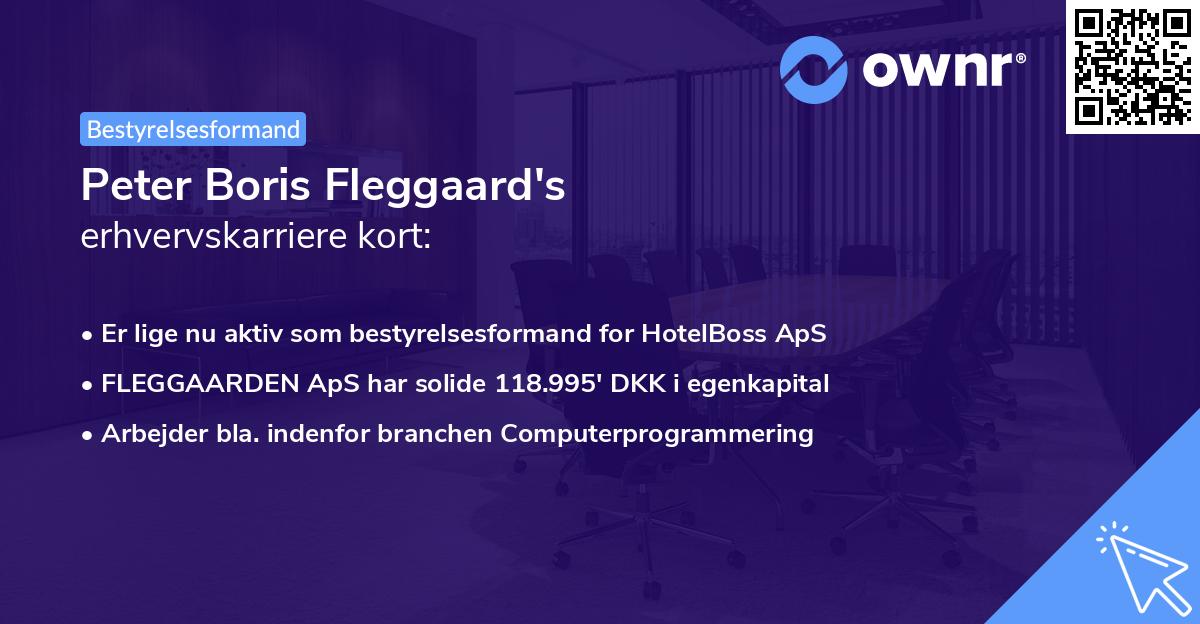 Peter Boris Fleggaard's erhvervskarriere kort