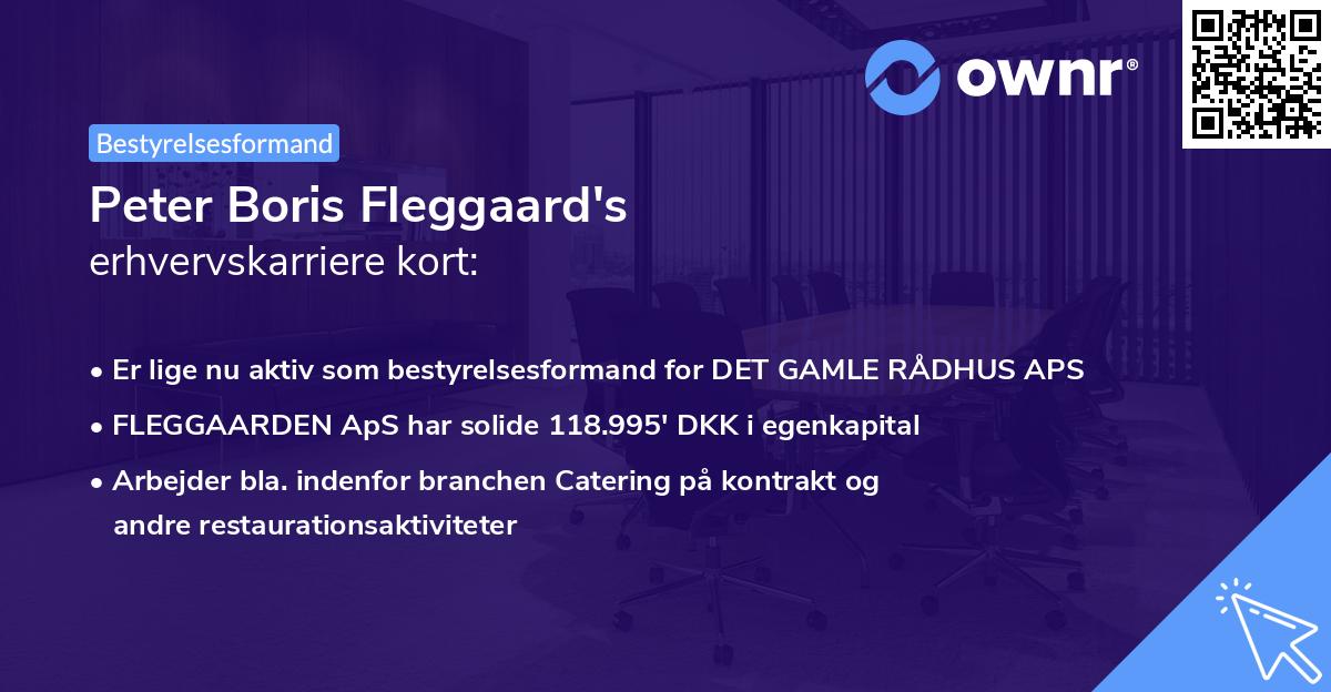 Peter Boris Fleggaard's erhvervskarriere kort