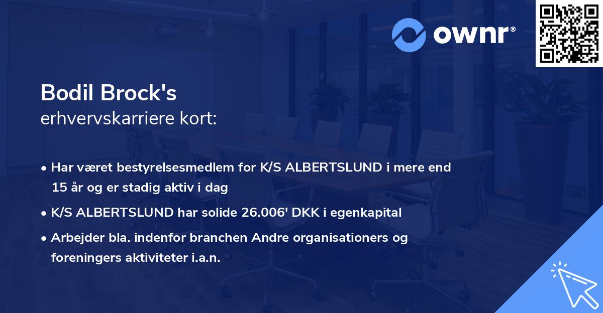 Bodil Brock's erhvervskarriere kort