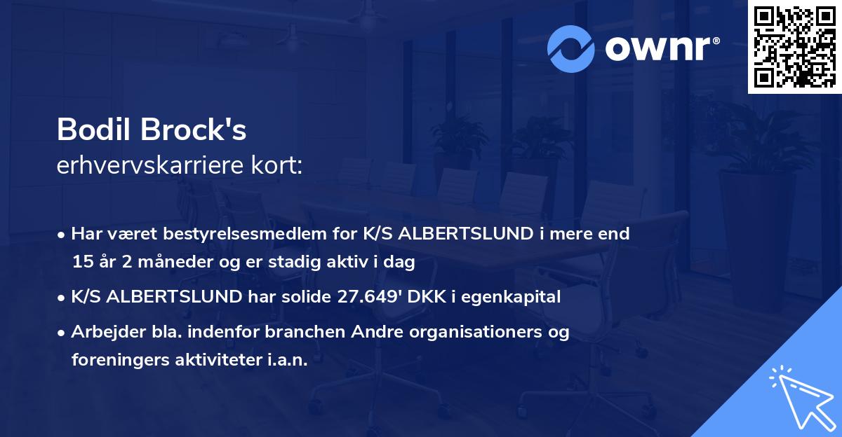 Bodil Brock's erhvervskarriere kort