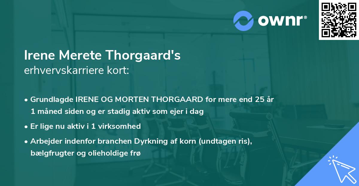 Irene Merete Thorgaard's erhvervskarriere kort