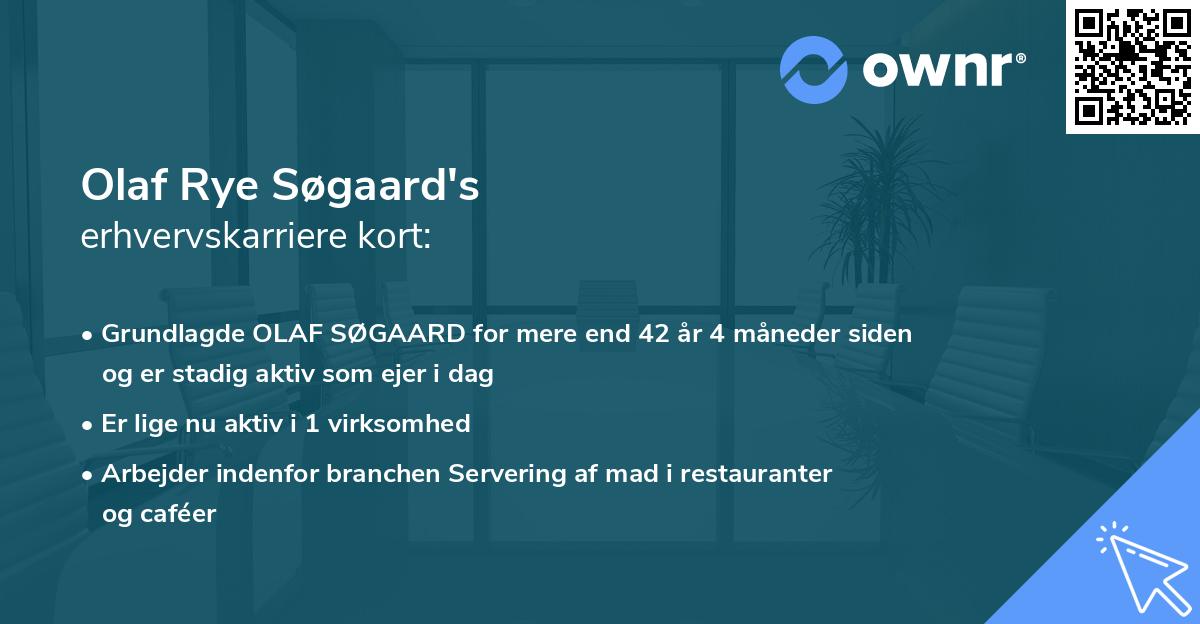 Olaf Rye Søgaard's erhvervskarriere kort
