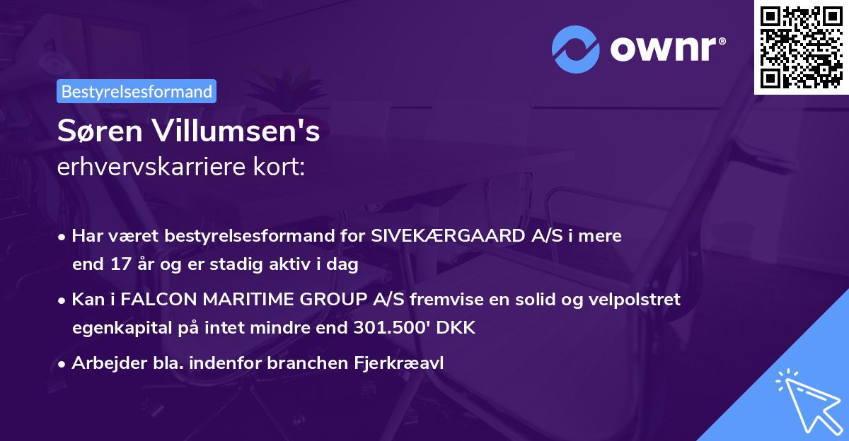 Søren Villumsen's erhvervskarriere kort