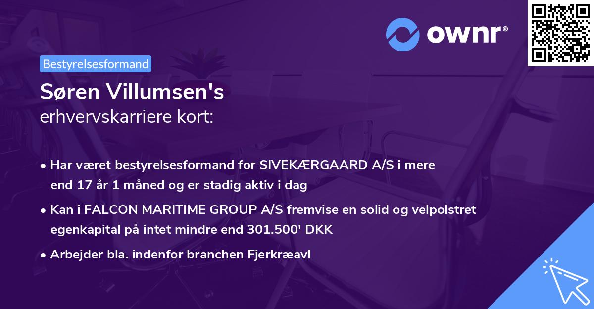 Søren Villumsen's erhvervskarriere kort
