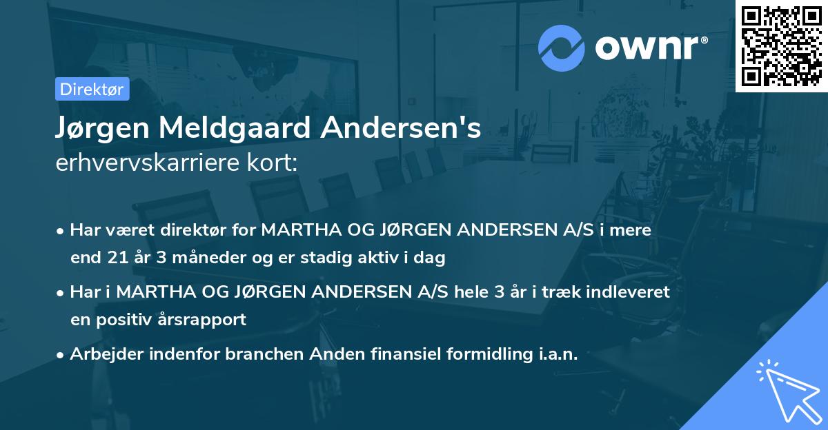 Jørgen Meldgaard Andersen's erhvervskarriere kort