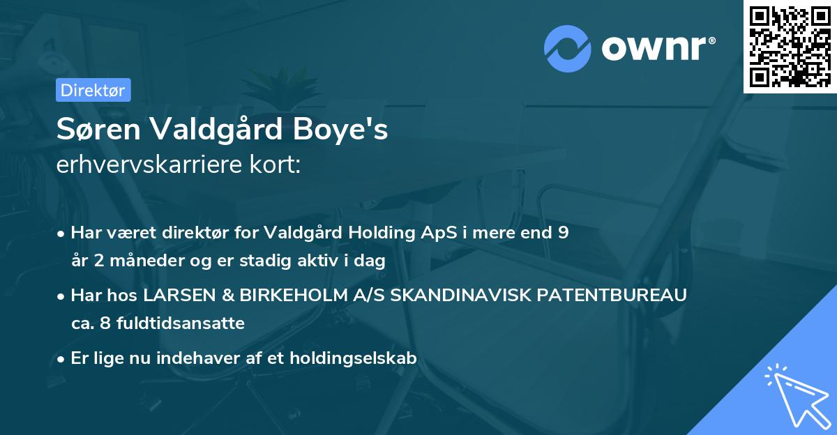 Søren Valdgård Boye's erhvervskarriere kort