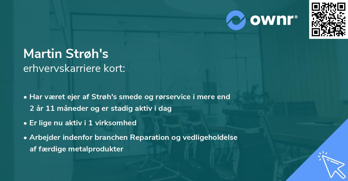 Martin Strøh's erhvervskarriere kort