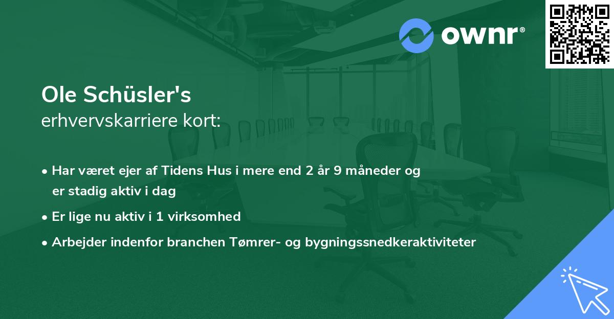 Ole Schüsler's erhvervskarriere kort