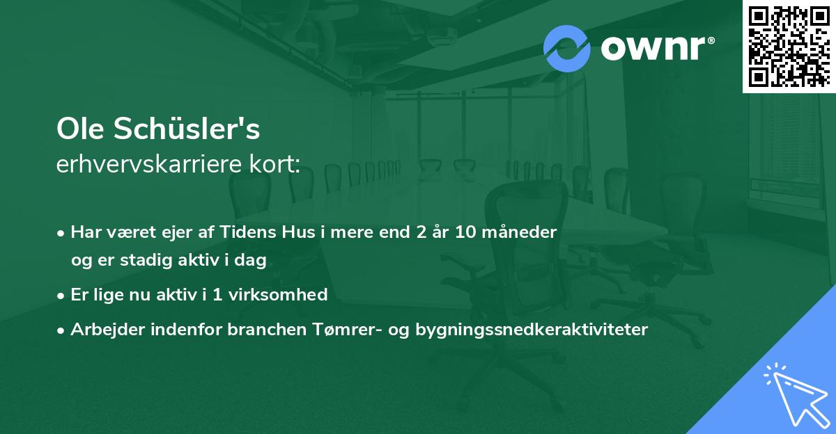 Ole Schüsler's erhvervskarriere kort