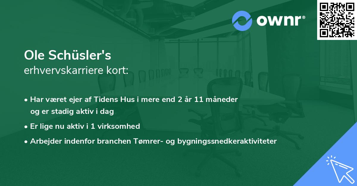 Ole Schüsler's erhvervskarriere kort