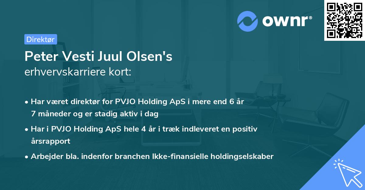 Peter Vesti Juul Olsen's erhvervskarriere kort